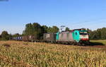 186 230 mit dem DGS 43525 (Zeebrugge Ramskapelle-Piacenza) bei Riegel 23.9.21