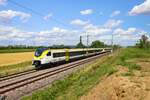 DB Regio Siemens Mireo 463 508-2 und 463 xxx-x am 13.07.23 bei Auggen (Baden Württemberg)