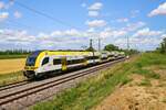 DB Regio Siemens Desiro HC 1462 504-0 am 13.07.23 bei Auggen (Baden Württemberg)