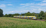 1462 003 als RE 17019 (Karlsruhe Hbf – Basel Bad B) bei Ringsheim 18.7.24