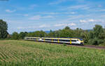 463 084 und 463 083 als RB 17125 (Offenburg - Freiburg Hbf) bei Ringsheim 18.7.24