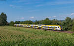 1462 010 und 1462 005 als RE 17021 (Karlsruhe Hbf – Basel Bad Bf) bei Ringsheim 18.7.24