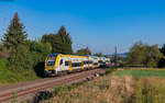 1462 006 als RE 17005 (Offenburg – Basel Bad Bf) bei Kollmarsreute 20.9.24