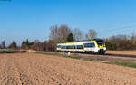 8442 181 als DLt 77493 (Offenburg - Riegel) bei Riegel 5.3.25
