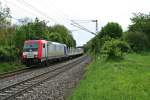 482 042-9 mit einem leeren Holzzug am 09.05.13 bei Schallstadt auf dem Weg in den Norden.
Anscheinend hat die Lok nun mehrere Planleistungen in Sddeutschland.