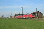 146 109-4 mit einem RE von Offenburg nach Basel Bad. Bf am Nachmittag des 29.03.14 beim Verlassen des Haltepunktes Auggen.