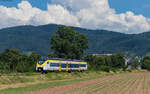 563 008	als SWE 87375 (Bad Griesbach – Hausach) bei Oberkirch 19.7.24