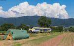 563 018	als SWE 87377 (Bad Griesbach – Hausach) bei Oberkirch 19.7.24