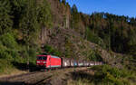 185 114	mit dem GAG 49057 (Bremerhaven-Speckenbüttel - St.Magarethen) bei Triberg 11.8.23