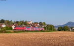 146 233  Donaueschingen  mit dem RE 4705 (Offenburg - Konstanz) bei Mühlhausen 29.8.24