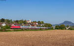 101 028 mit dem NJ 471 / IC 60471 (Hamburg Altona - Zürich HB) bei Mühlhausen 29.8.24