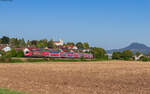 146 239  Richtung Heimat  mit dem RE 4709 (Baden Baden - Konstanz) bei Mühlhausen 29.8.24