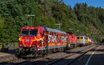 Vorbereitungen für die Triberger Bahntage. Zu sehen sind 185 077  Stahl auf Stahl , 294 777, 140 797 und 218 105. Bf Triberg 21.9.24