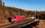 249 028 mit dem EZK 55032 (Neustadt(Schwarzw) - Villingen) bei Aufen 16.12.24