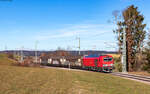 249 028 mit dem EZK 55301 (Villingen(Schwarzw)-Neustadt(Schwarzw)) bei Bachheim 16.12.24