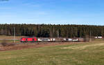 249 028 mit dem EZK 55301 (Villingen(Schwarzw)-Neustadt(Schwarzw)) bei Rötenbach 16.12.24