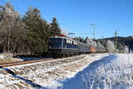 E10 228 fährt mit ihrem Sonderzug über die Höllentalbahn zwischen Neustadt und Titisee in Richtung Freiburg. (13.01.2024)