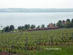 Bodenseeblick am 23.Mai 2009 in der Nhe von Nudorf.