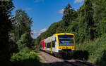 650 023 und 650 015 als S 74427 (Radolfzell – Stockach) bei Nenzingen 18.9.24