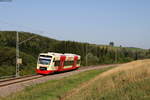 VT 248 als HzL88615 (Rottweil-Immendingen) bei Aldingen 9.8.18