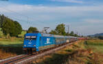 101 031 RDC und 218 256 NeSA (Schluss) mit dem DPF 1791 (Hamburg Langefelde - Lörrach Gbf) bei Rietheim 30.8.24  