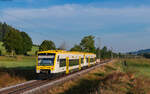 VT 239 und VT 234 als SWE 69827 (Villingen - Immendingen) bei Rietheim 30.8.24