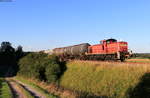 294 887-5 mit dem GC 60246 (Rammelswiesen-Villingen(Schwarzw)) bei Zollhaus 20.8.20