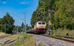 218 105	mit dem DGV 92756 (Villingen - Rottweil) am Einfahrsignal Villingen 11.8.23. Die Stelle ist von hinten her legal erreichbar.