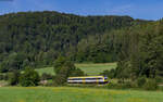 612 111 als RE 3213 (Donaueschingen - Allmendingen) bei Hausen im Tal 30.7.24