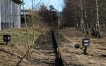 Reste der Strecke Rottweil-Schmberg (Balingen) bei Rottweil 6.2.11