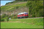 TrainLog 233 217-9 am 14.09.2024 Lz bei Himmelstadt im Maintal.