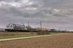 1216 955-5 fährt am grauen Morgen des 13.3.2016 mit einem KLV-Zug in Thüngersheim vorüber.Bild vom vom 13-3-2016