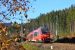 442 806 DB Regio bei Steinbach im Frankenwald am 03.11.2015.