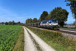 Auf der Donauachse gehören die Vectrons der ZSSK Cargo seit einiger Zeit zum gewohnten Bild. Vor allem vor Autotransportzügen sind die slowakischen Maschinen mit ihrem charakteristischen Äußeren anzutreffen. Am 01. Oktober 2020 fuhr mir die 383 204 mit einem Ganzzug bestehend aus leeren BLG-Wagen bei Langenisarhofen in Niederbayern vor die Linse.