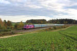 Alex 183 005 rollt mit ihrem RE2/RE25 nach Hof und Prag durch Hagelstadt in Richtung Regensburg.