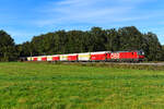 Auch nach einigen Jahren im Einsatz schauen die für den Sandzug aus dem Werk Rohrdorf verwendeten sogenannten Rocktainer Waggons noch passabel aus. Am 09. Oktober 2024 begegnete mir der sich fotogen von der Landschaft abhebende Zug bei Brannenburg im Inntal. Zuglok war an diesem Tage die 1293.013.  