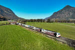 Zwei rote Zebras in Form von 189 901 und 905 bespannten am 15. November 2024 den KLV-Zug DGS 43821 von Bremen Grolland nach Verona Q.E. ab München Ost Rbf für die Fahrt über den Brennerpass. Die einheitlich mit Aufliegern der Speditionen Terratrans und paneuropa beladene Leistung befindet sich hier im deutschen Teil des Inntals und wird nach wenigen Kilometern Kufstein erreichen. 