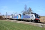 Der TEC 43131, unter Eisenbahnfreunden eher als  Der Leipziger  bekannt, wurde am 16. März 2013 von den blauen Railpool Zebras 186 287 + 106 in Richtung Brenner befördert. Aufgenommen bei Weiching.