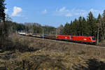 Die ÖBB 1116.191 und 273 bespannten am 20.