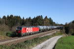 1293 187 mit einem Kesselwagenzug aus Salzburg kommend am 31.