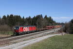1293 194 mit einem gemischten Güterzug am 16. März 2023 bei Sossau im Chiemgau.
