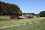 1116 216 mit dem  TRANSALPIN  aus Salzburg kommend am 25. Oktober 2023 bei Axdorf im Chiemgau.