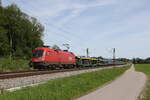 1016 015 war mit einem gemischten Güterzug am 15. Mai 2024 bei Weisham im Chiemgau in Richtung Freilassing unterwegs.
