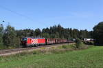 1293 093 mit einem gemischten Güterzug aus Salzburg kommend. Aufgenommen am 7. September 2024 bei Lauter.