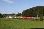 193 355 und 193 352 mit einem  KLV  aus München kommend am 19. September 2024 bei Axdorf.