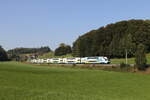 4010 030 unterwegs nach Wien. Aufgenommen am 19. September 2024 bei Axdorf.