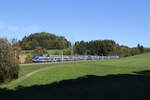 430 008 und 430 013 unterwegs in Richtung München. Aufgenommen am 9. Oktober 2024 bei Axdorf im Chiemgau.