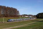 430 008 und 430 023 waren 25. November 2024 bei Axdorf auf dem Weg nach München.