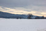 223 015 mit dem Alex bei Mellatz gen Heimenkirch. 8.12.20