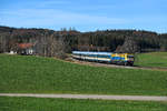 Bei Riedles im Ostallgäu entstand am 14. November 2020 diese Aufnahme des ALX 84107 auf seiner Fahrt von Lindau nach München HBF. Die von der Länderbahn bei Beacon Rail angemietete ER 20-013 setzte mit ihrer bunten Gestaltung - die auf den Bodensee-Oberschwaben-Verkehrsverbung hinwies - einen Farbakzent in der herbstlich eingefärbten Landschaft.   